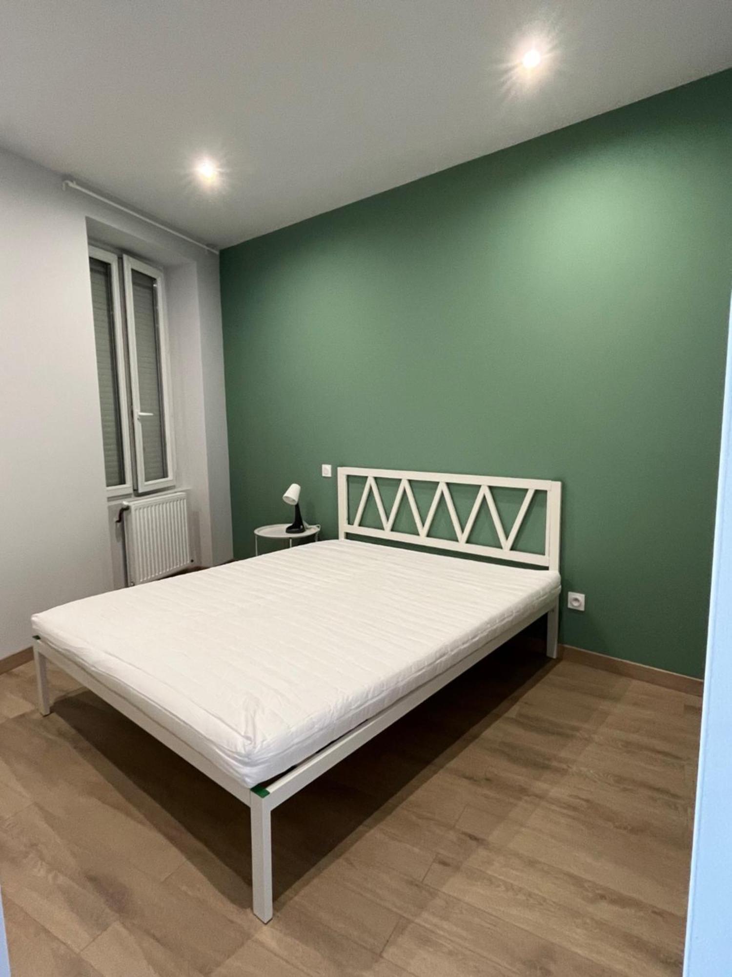 Apartament Immeuble La Doa Proche Chu Saint-Priest-en-Jarez Zewnętrze zdjęcie